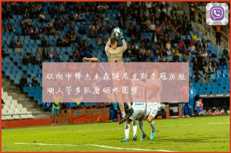 双向中锋杰米森随尼克斯夺冠历经湖人等多队磨砺终圆梦