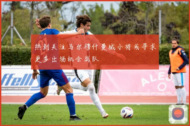 热刺关注马尔穆什曼城小将或寻求更多出场机会离队