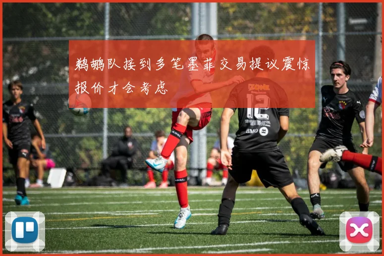鹈鹕队接到多笔墨菲交易提议震惊报价才会考虑